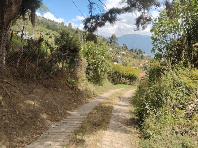 place photo 22