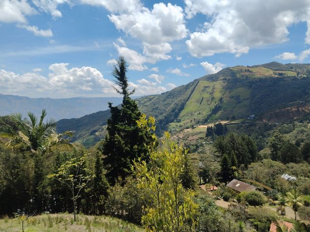 place photo 24