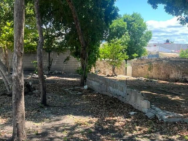 place photo 35