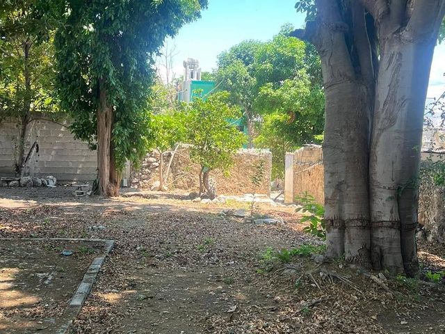 place photo 34