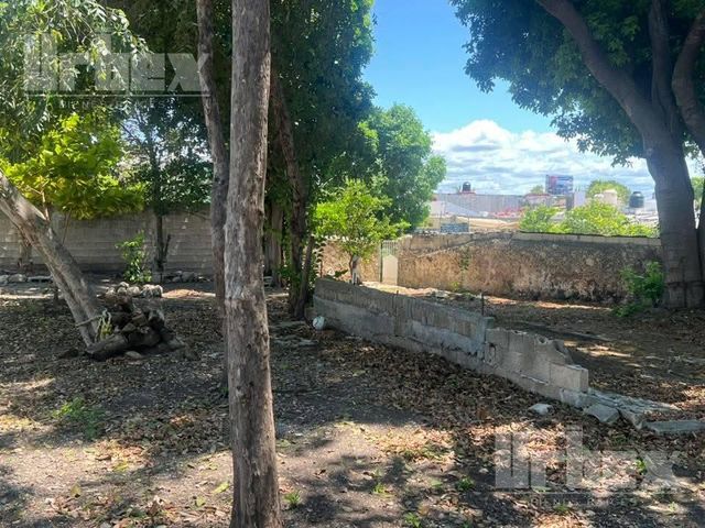 place photo 36