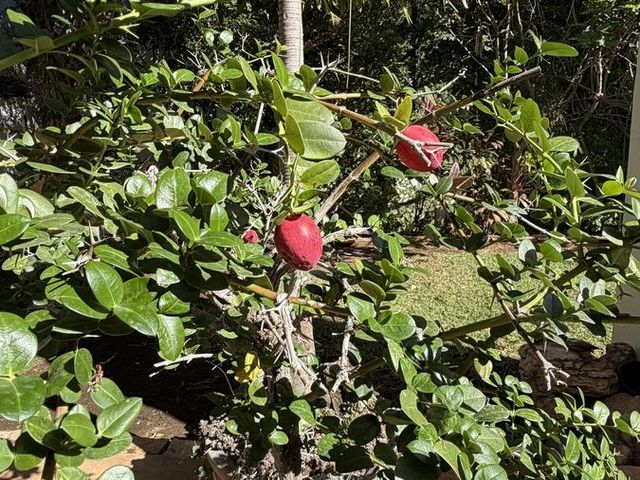 place photo 24