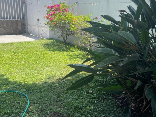 place photo 35