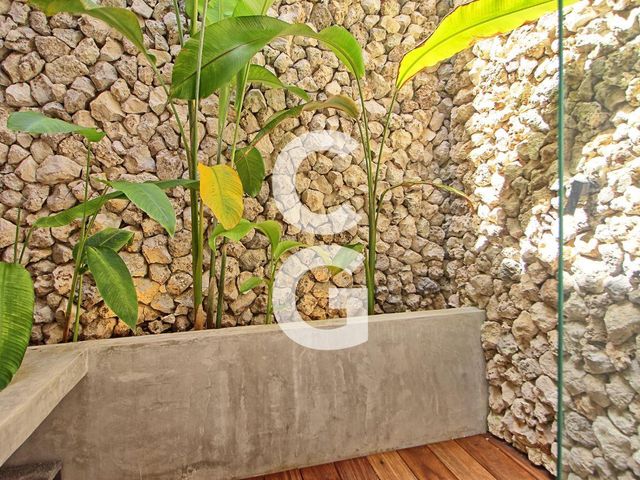 place photo 65