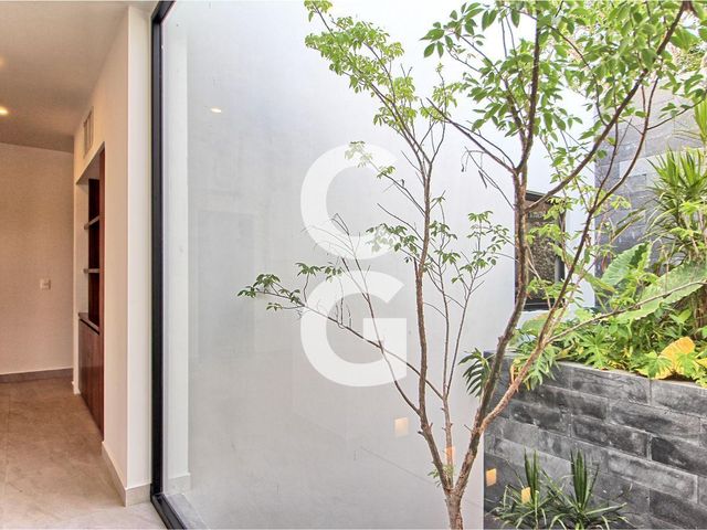 place photo 44