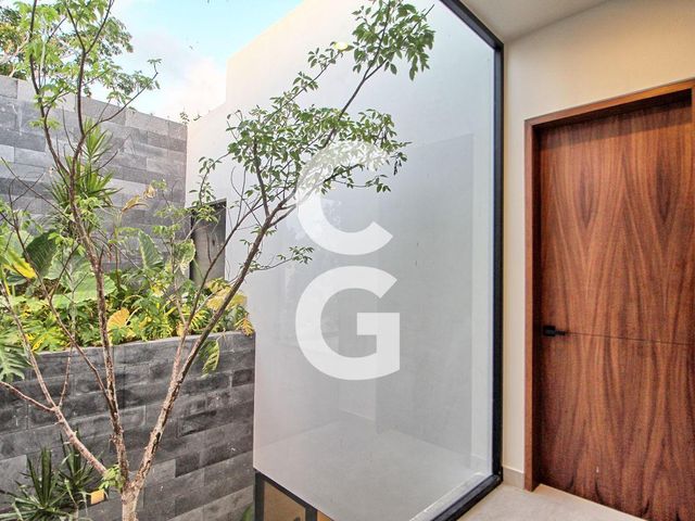 place photo 45
