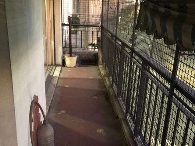 place photo 25