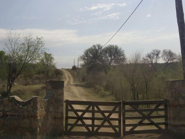 place photo 18