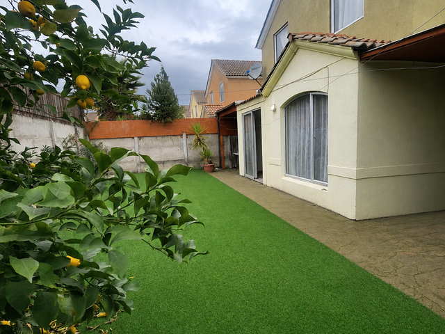 place photo 21