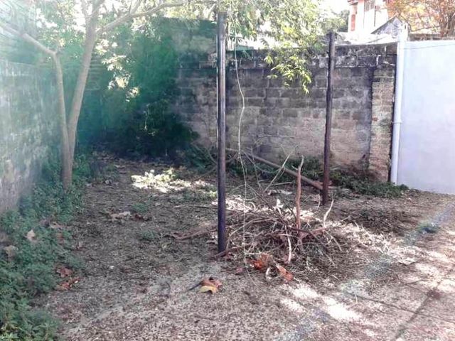 place photo 22