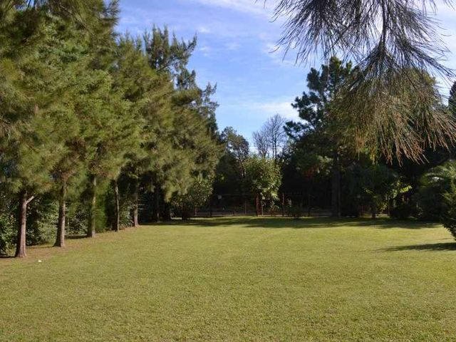 place photo 31