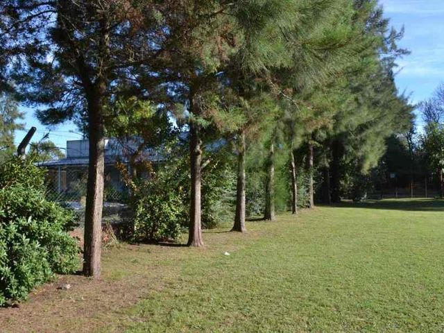 place photo 29