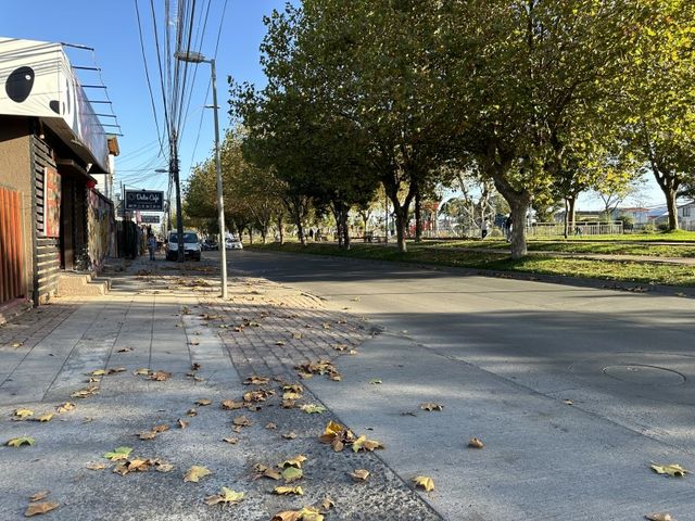 place photo 25