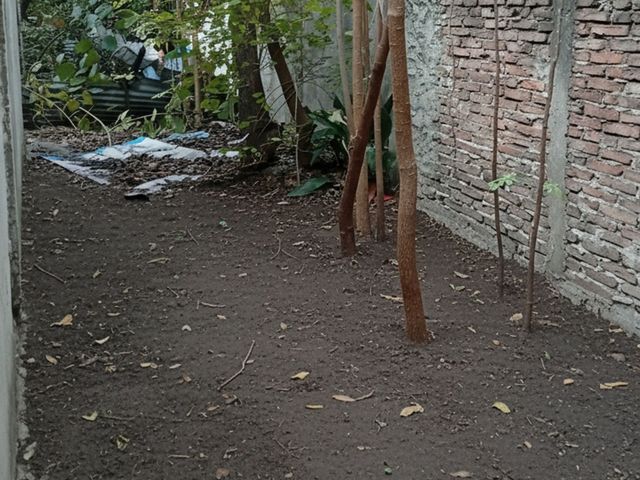place photo 24