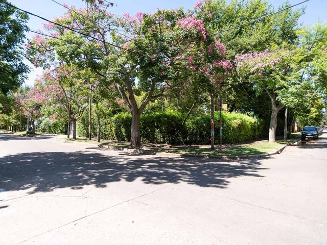 place photo 40