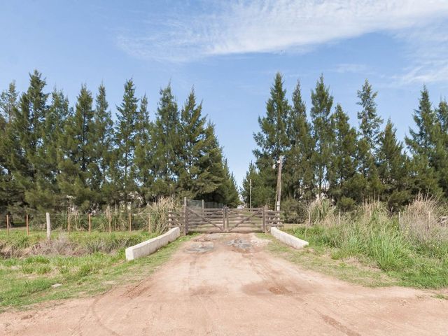 place photo 43