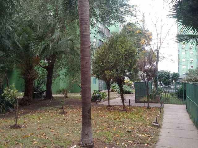 place photo 15