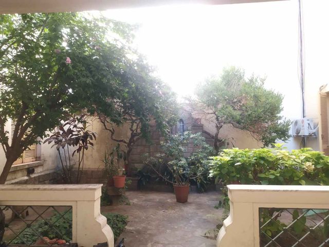 place photo 20