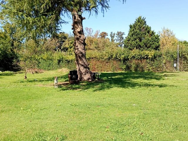place photo 42