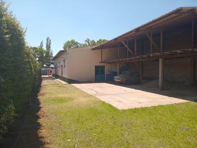 place photo 18