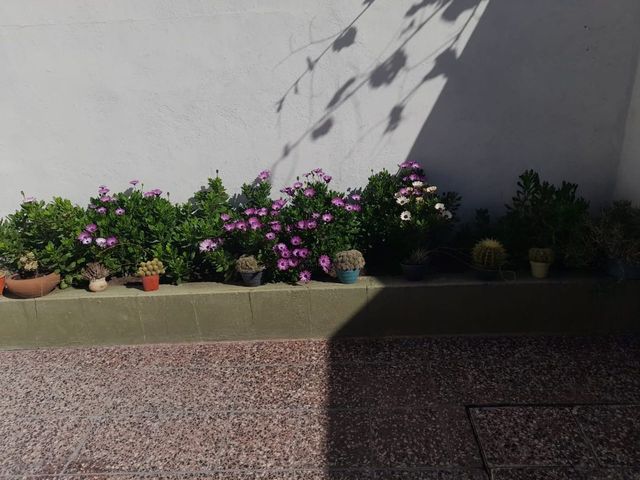 place photo 48