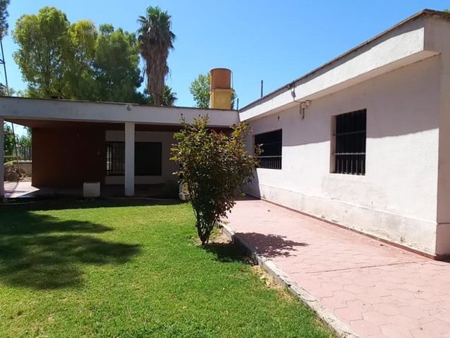 place photo 24