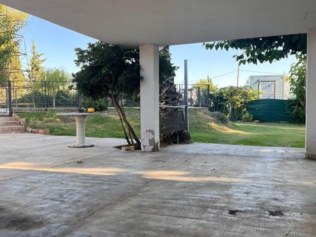 place photo 42