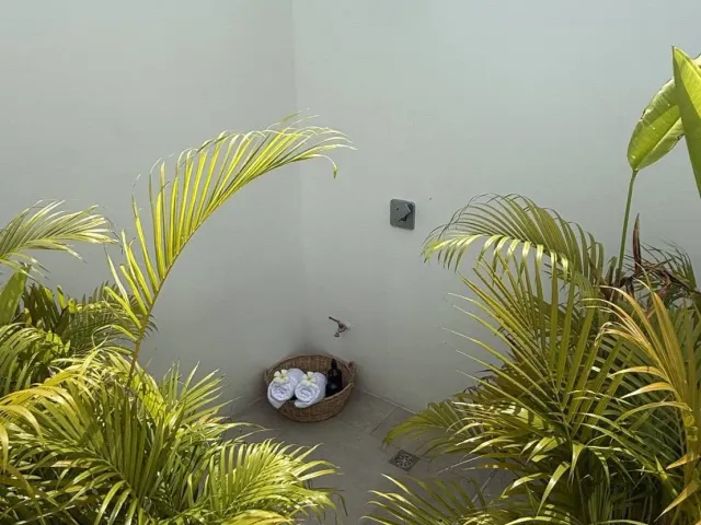 place photo 36