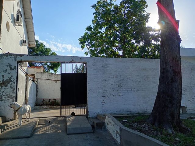 place photo 37