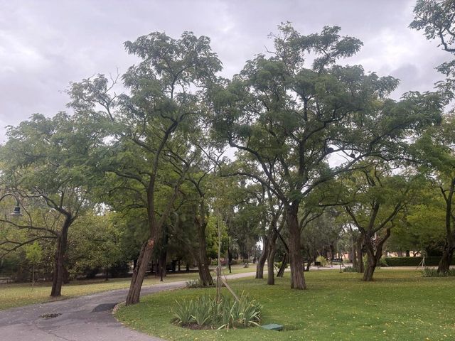 place photo 32