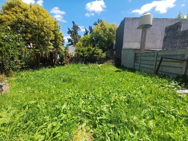 place photo 18