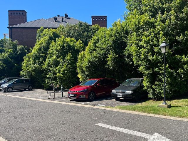 place photo 24