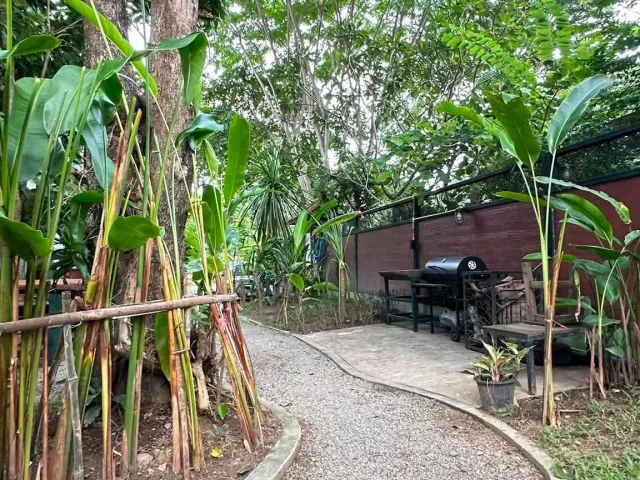 place photo 25