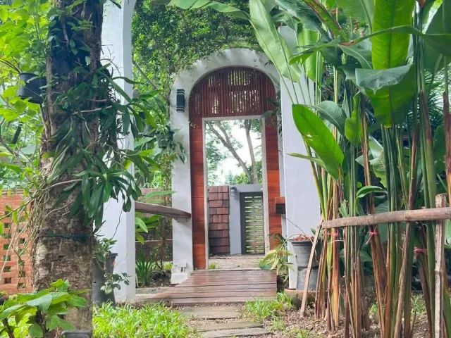 place photo 35