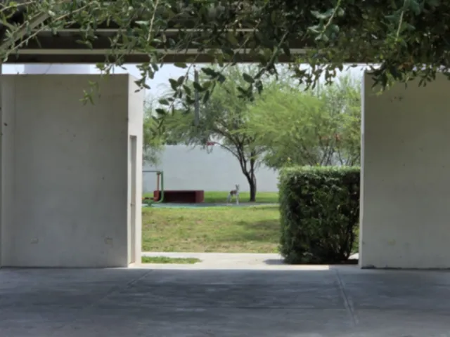 place photo 28