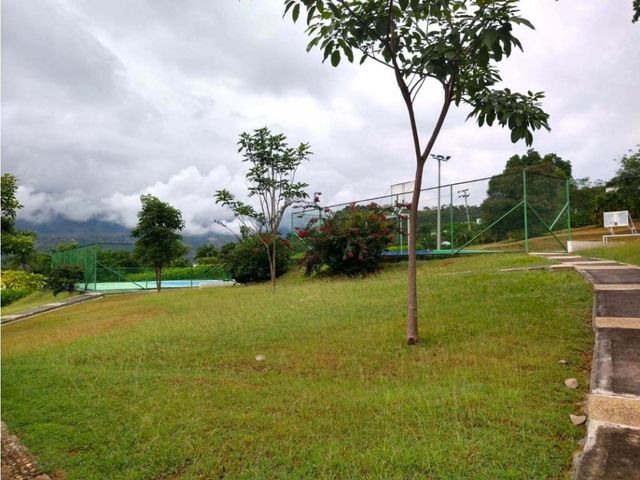 place photo 24