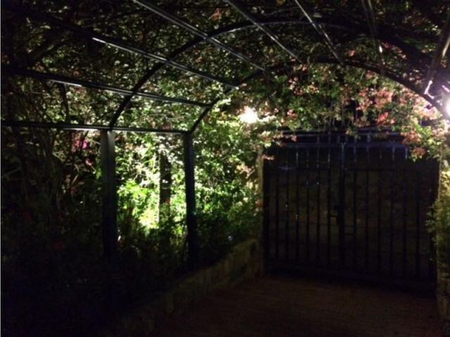 place photo 25