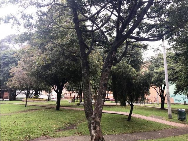 place photo 20