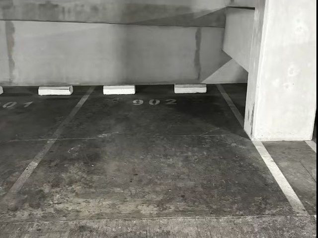place photo 26