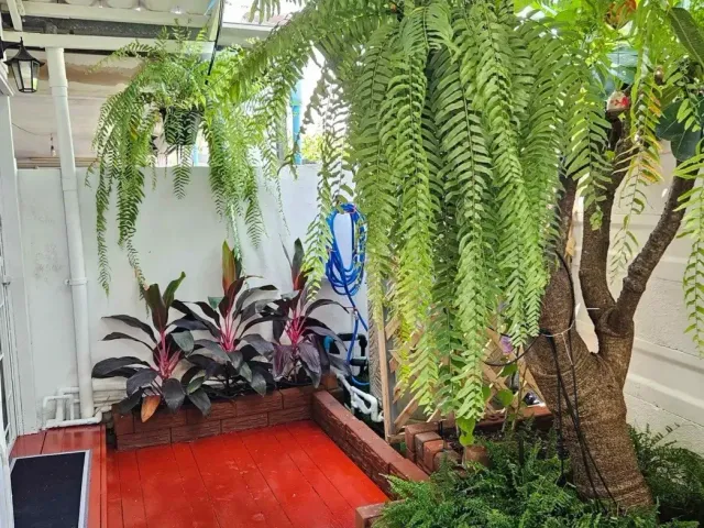 place photo 22