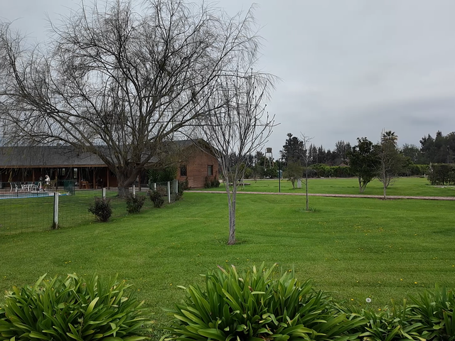 place photo 24