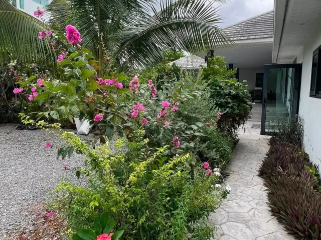 place photo 20
