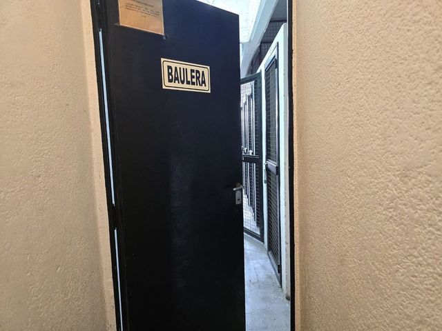 place photo 44