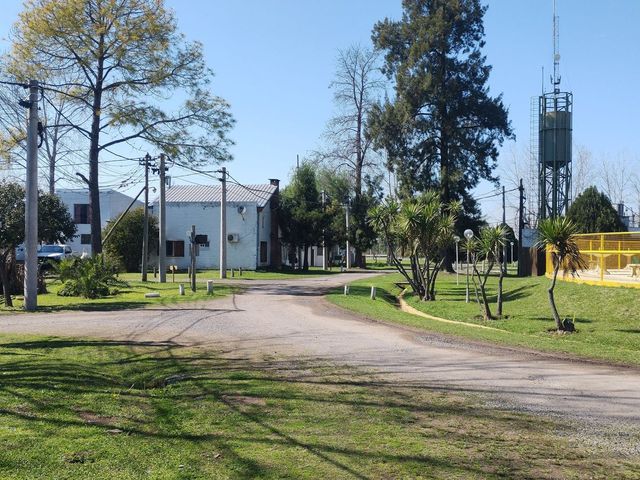 place photo 31