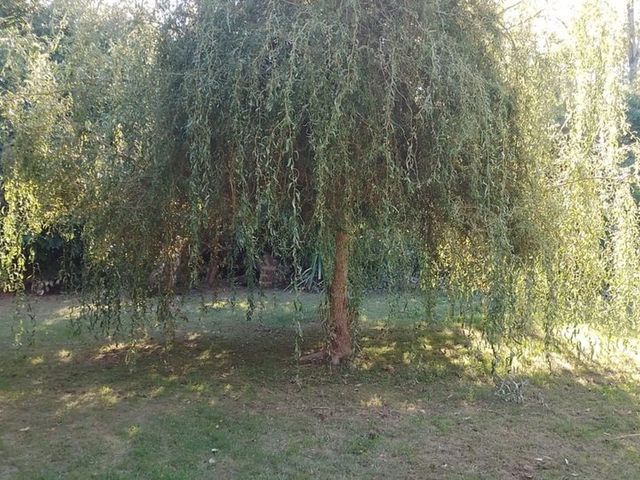 place photo 35