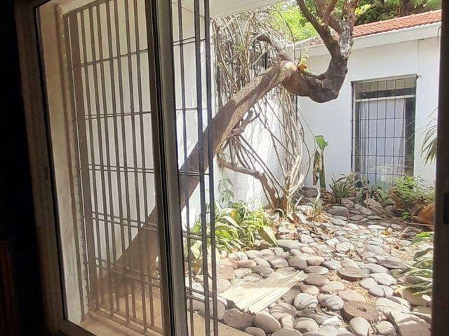 place photo 63