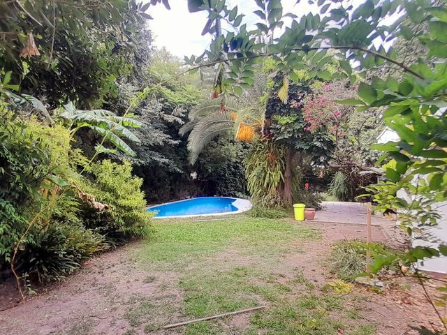 place photo 52
