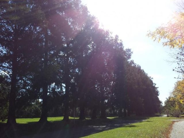place photo 76