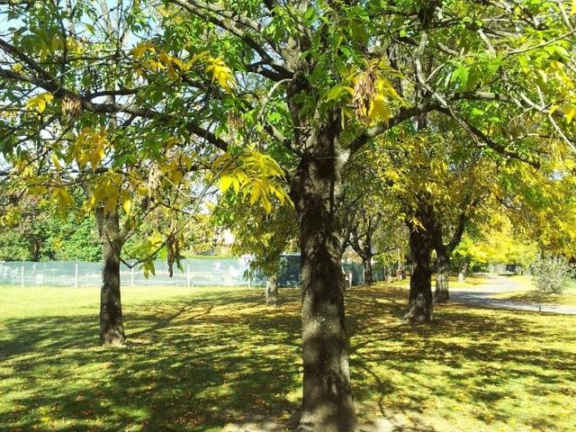 place photo 74
