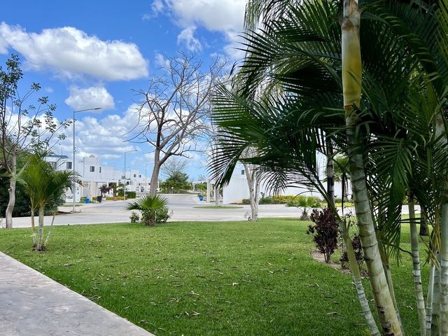 place photo 30